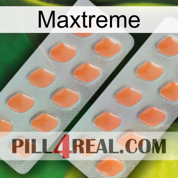 Maxtreme 27.jpg